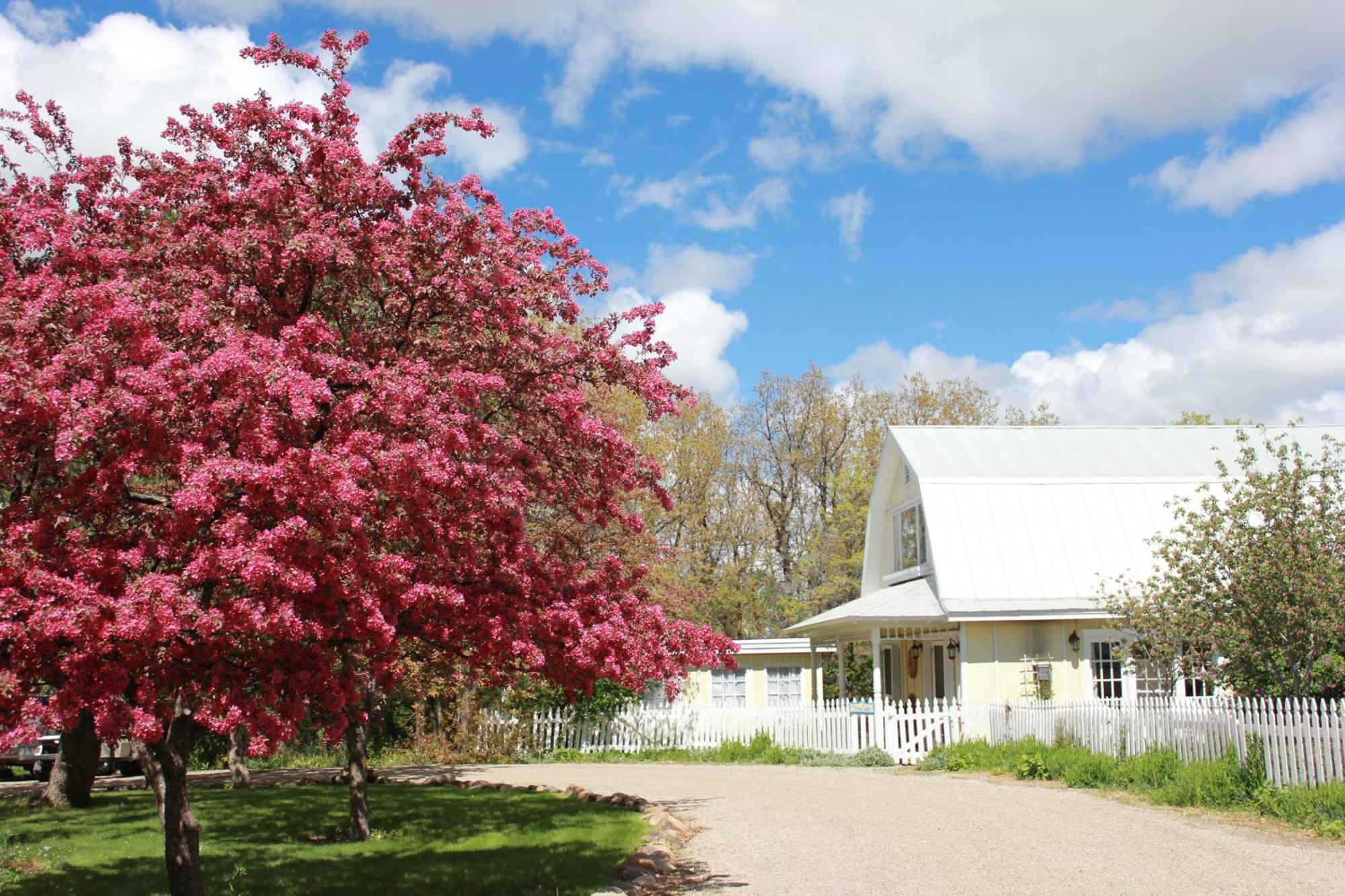 Blue Lake Ranch Hesperus Exterior foto